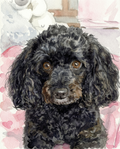 Custom Watercolor Pet Portraits: Artist-Rendered Paintings & Personalized Gifts