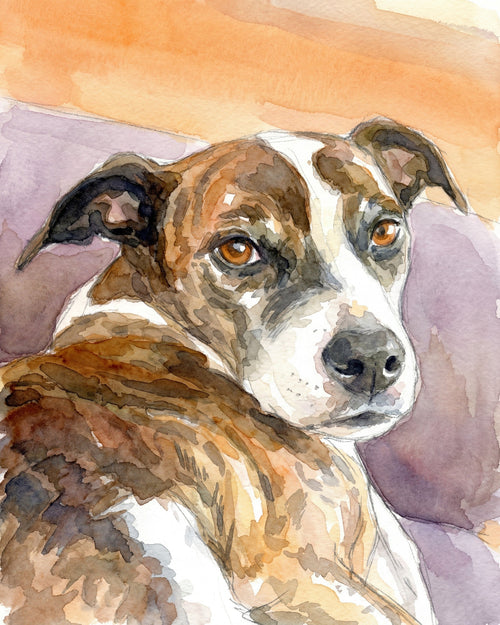 Custom Watercolor Pet Portraits: Artist-Rendered Paintings & Personalized Gifts